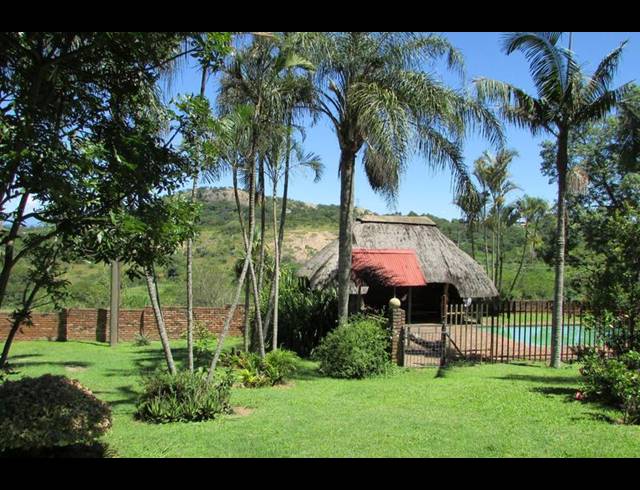 FARM FOR SALE IN ROCKY DRIFT